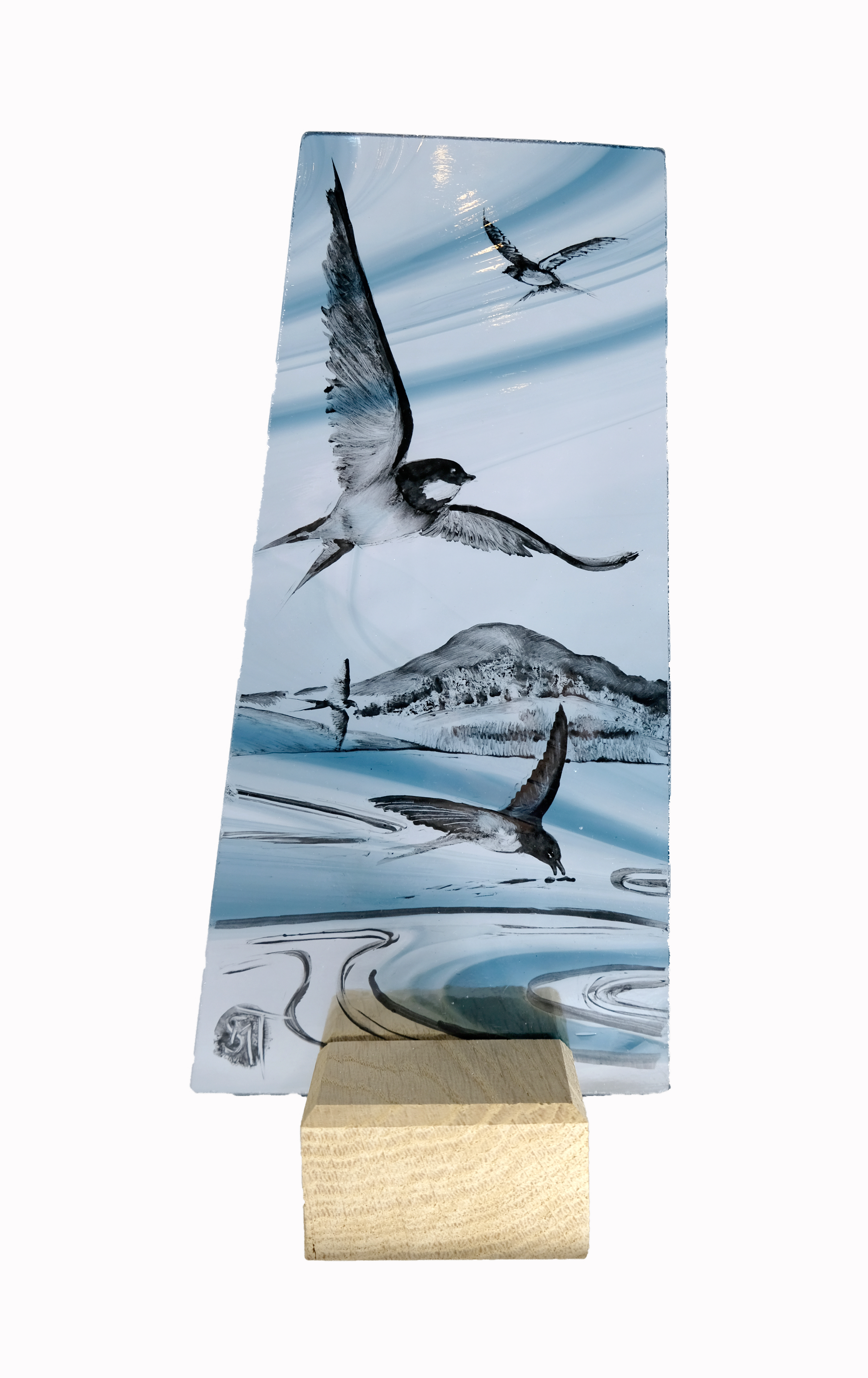 Swallows make a summer. Swallows make a summer.